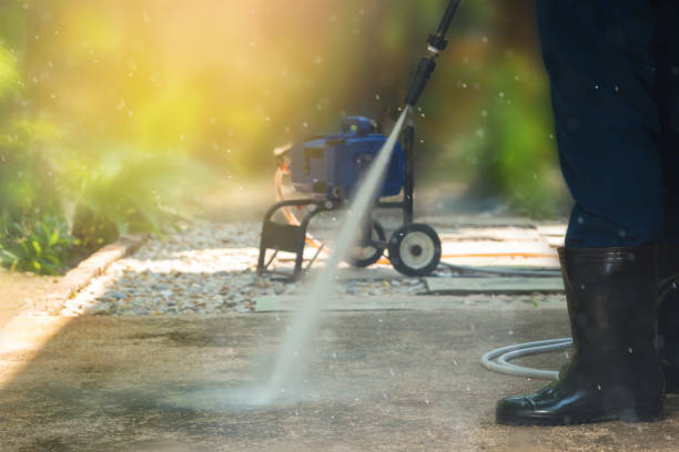 Animal Enclosure Cleaning in Reidsville, NC